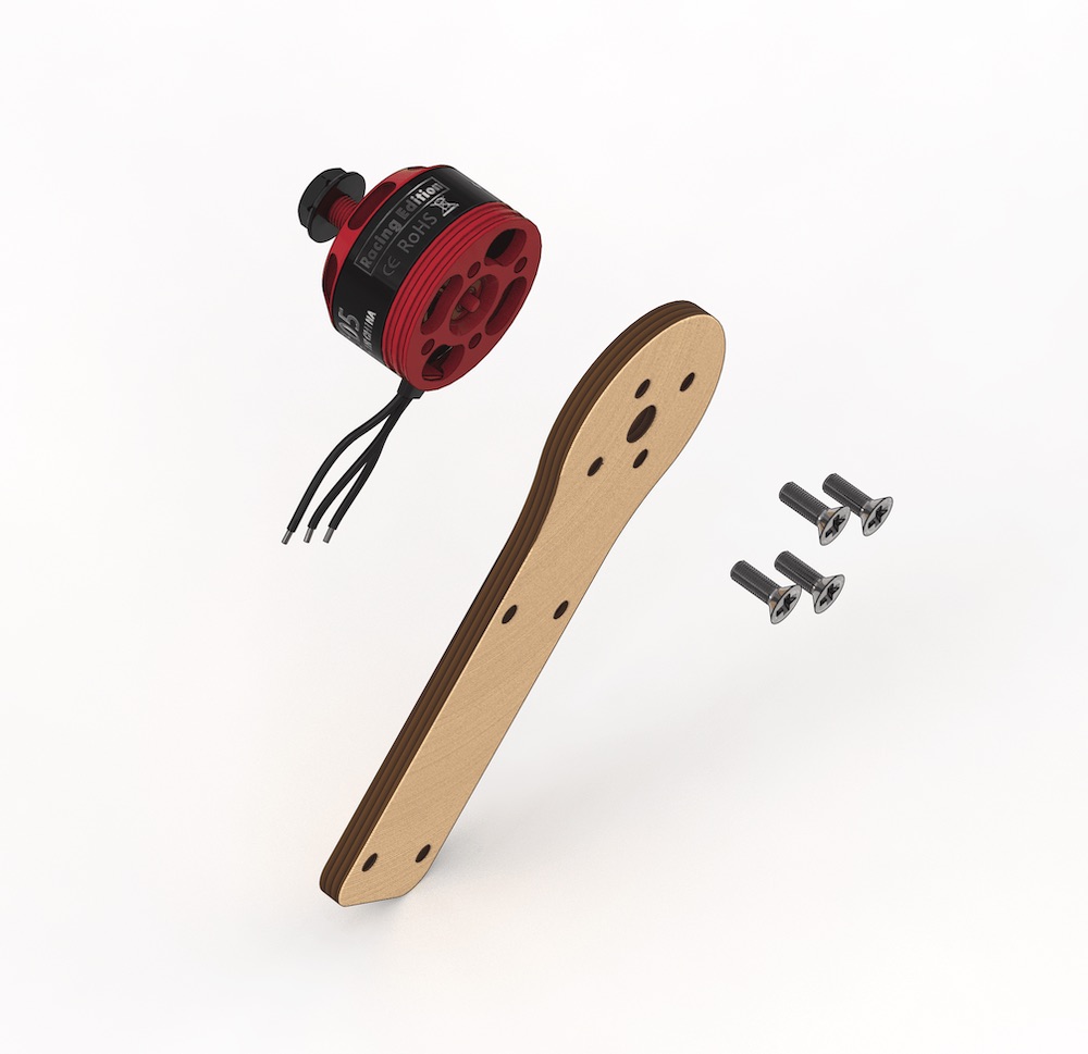 Fix the motor on the mount